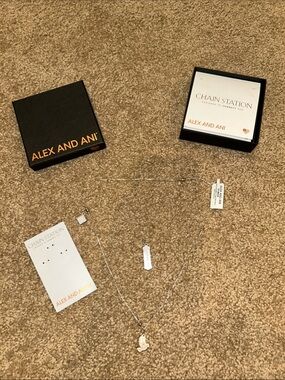 Alex and Ani Silver Layered Charm Necklace Set